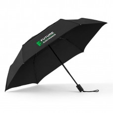 Pure Auto open compact umbrella